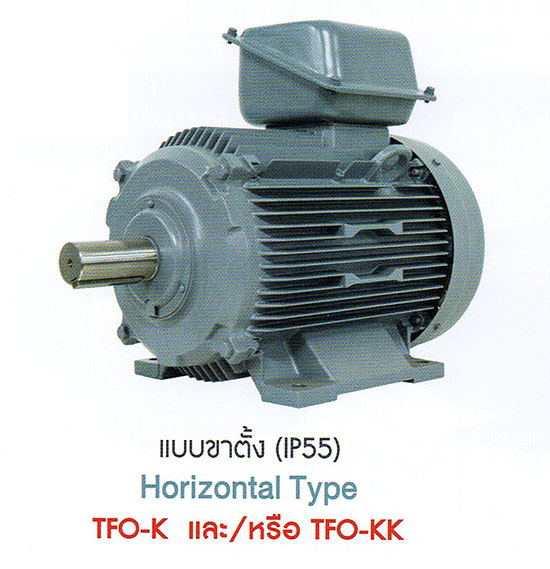 induction-motor-hitachi