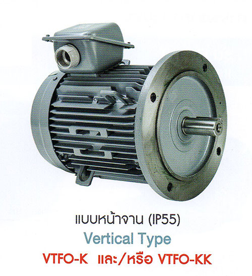 induction-motor-hitachi